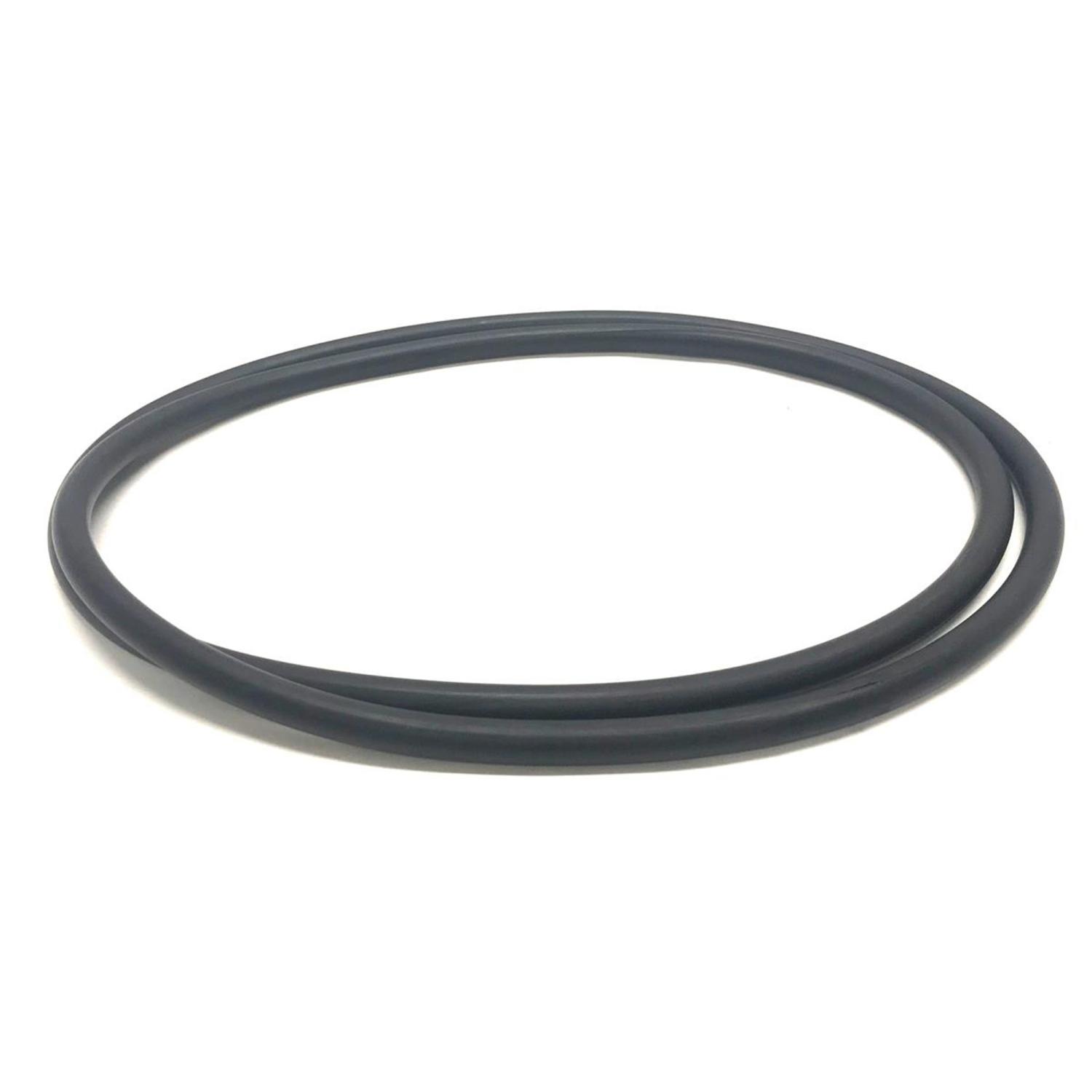 Image 0 for 20x10 HUTCHINSON RIM O-RING 